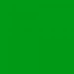 Green Lanyards & Green Coloured Products 