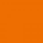 Orange Lanyards & Orange Coloured Products