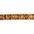 Animal Print Lanyard x10