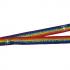 Rainbow Mental Health First Aider Lanyard x10